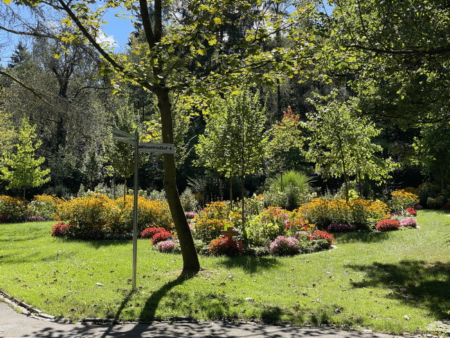Waldfriedhof Baumscheibengr&auml;ber